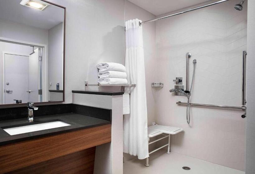 Стандартный Номер Кровать Кинг, Fairfield By Marriott Inn & Suites Lewisburg