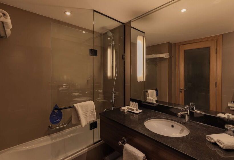 اتاق اجرایی, Radisson Blu Hotel, Cairo Heliopolis