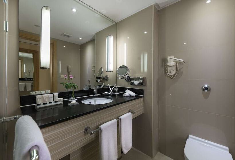 سوییت, Radisson Blu Hotel, Cairo Heliopolis