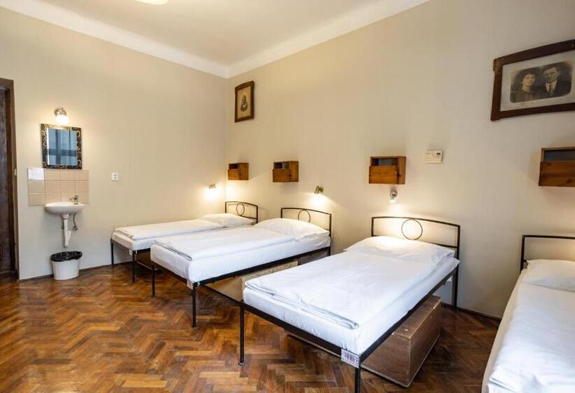 Bed in een Gedeelde Kamer, Sir Toby's Hostel