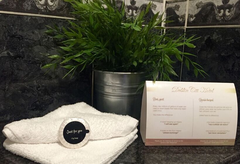 스탠다드 싱글 룸, Dublin Citi Hotel Of Temple Bar