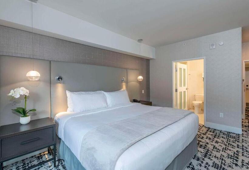 اتاق استاندارد با تخت بزرگ, Cambria Hotel Copper Mountain