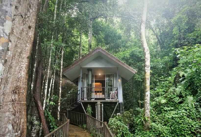 Бунгало Стандарт, Rock And Tree House Resort