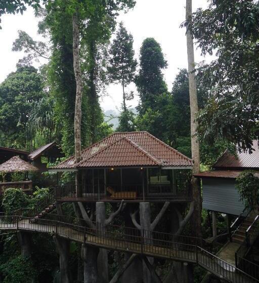 Семейное Бунгало, Rock And Tree House Resort