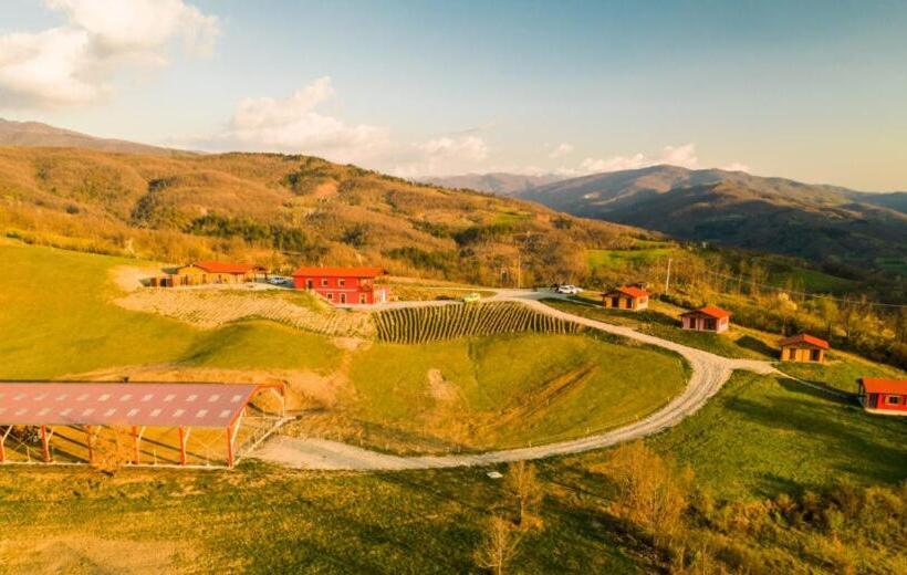 Номер Стандарт, Azienda Agricola Saint Hubert
