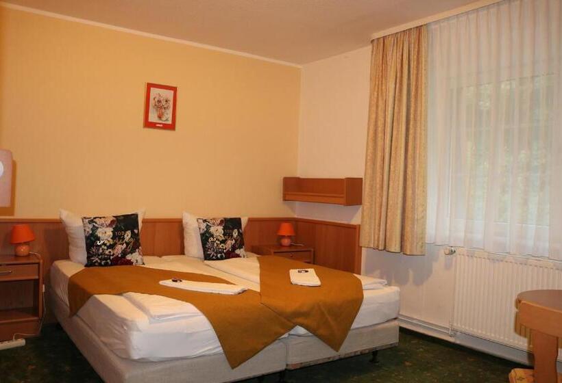 스탠다드 룸, Waldhotel Harz Ilsenburg