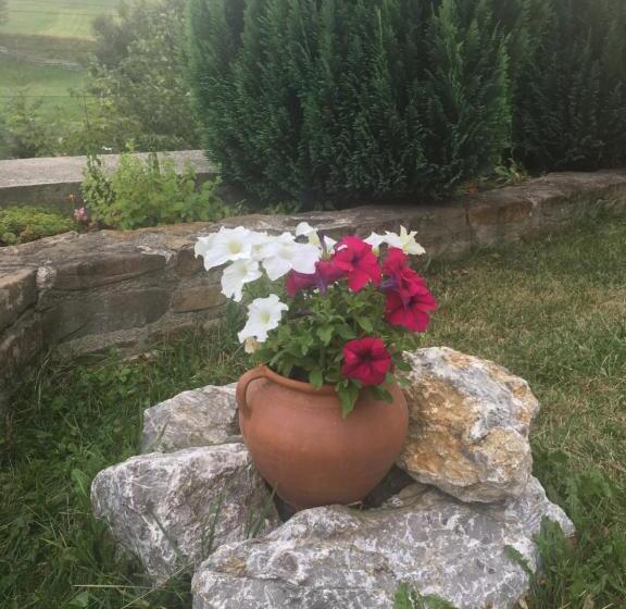 اتاق استاندارد, Pension Valentina