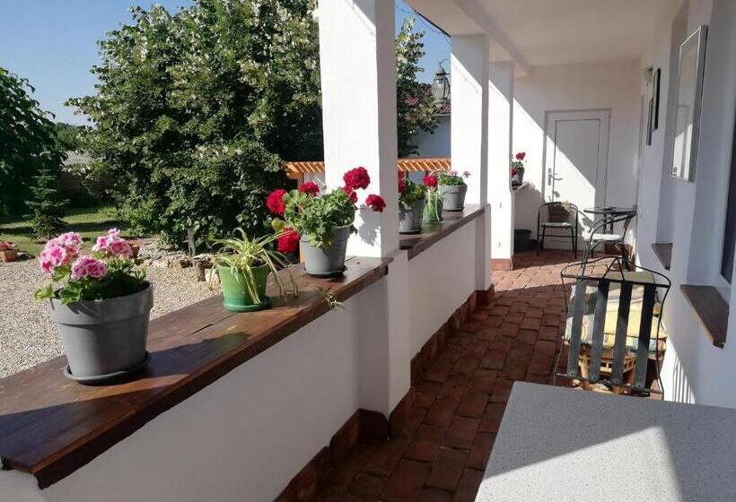 스탠다드 룸, Casa Ago   Guest House