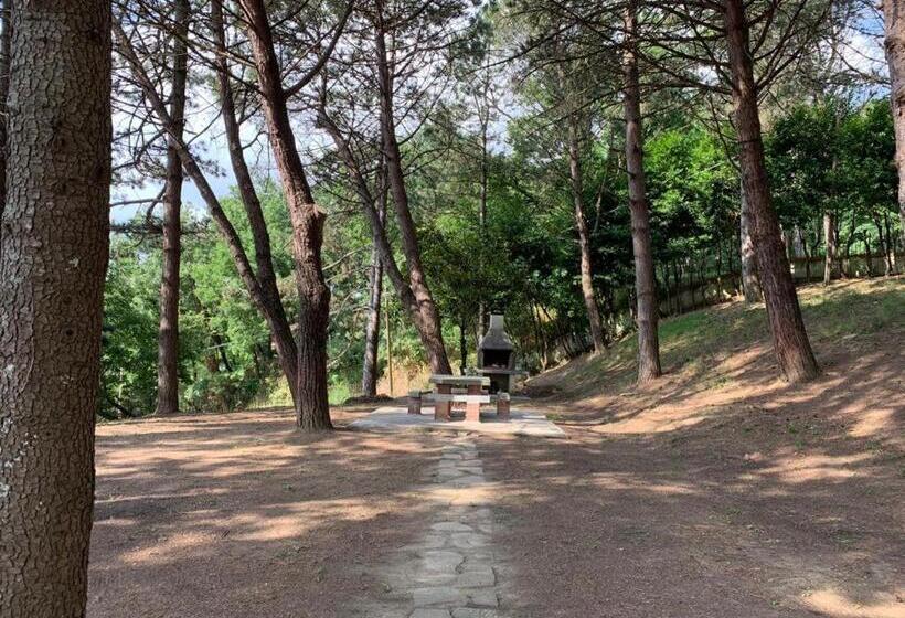 Номер Стандарт, B&b Villa Bianca