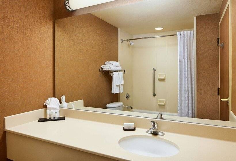 Sviitti, Embassy Suites By Hilton Charleston Airport Convention Ctr
