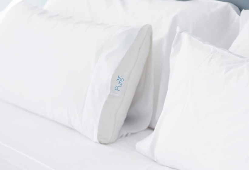 Premium-huone, Embassy Suites By Hilton Charleston Airport Convention Ctr