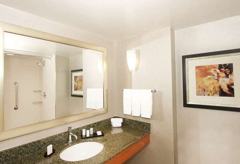 Sviitti King-vuode, Embassy Suites By Hilton Charleston Airport Convention Ctr
