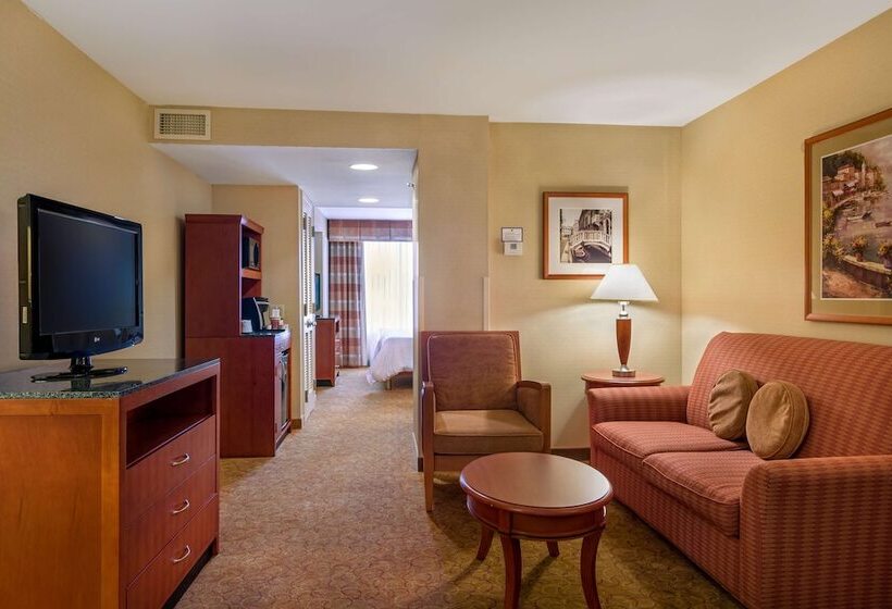 Полулюкс, Hilton Garden Inn Cleveland East/mayfield Village