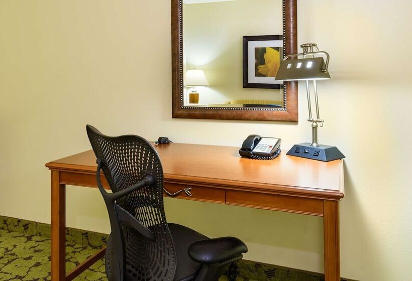 Номер Стандарт Адаптированный для Инвалидов, Hilton Garden Inn Gainesville