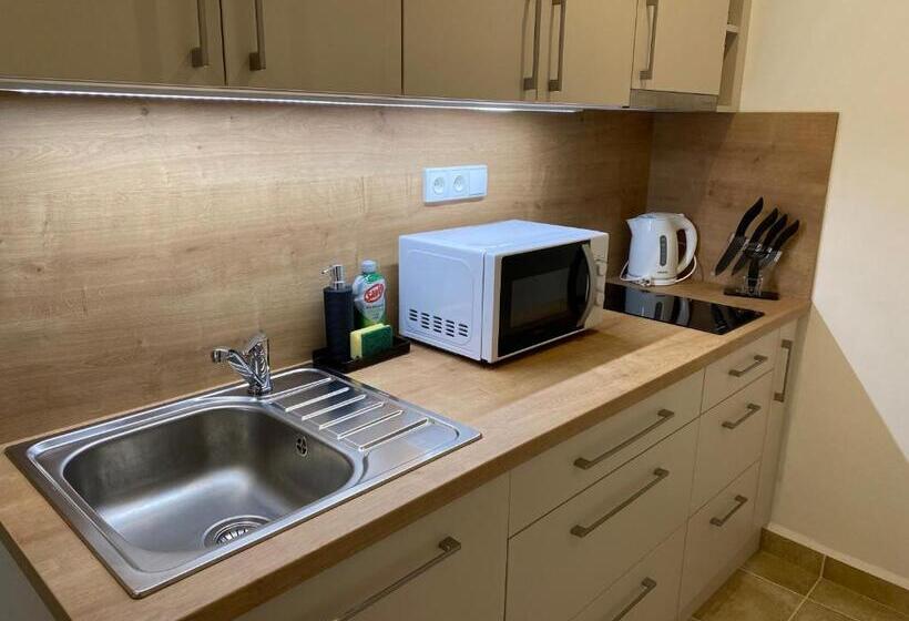 带1个卧室的高级公寓, Sg Apartmánový Dům Hoŕice