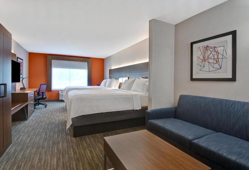이그제큐티브 스위트 킹침대, Holiday Inn Express Hotel & Suites Anderson I 85   Hwy 76, Exit 19b, An Ihg