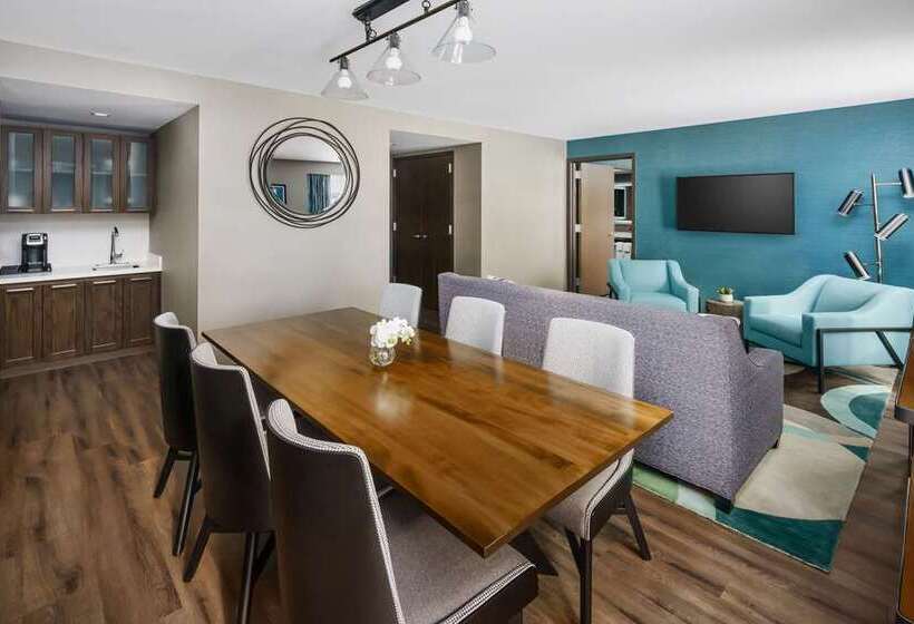 스탠다드 룸 킹사이즈 침대, Hilton Branson Convention Center