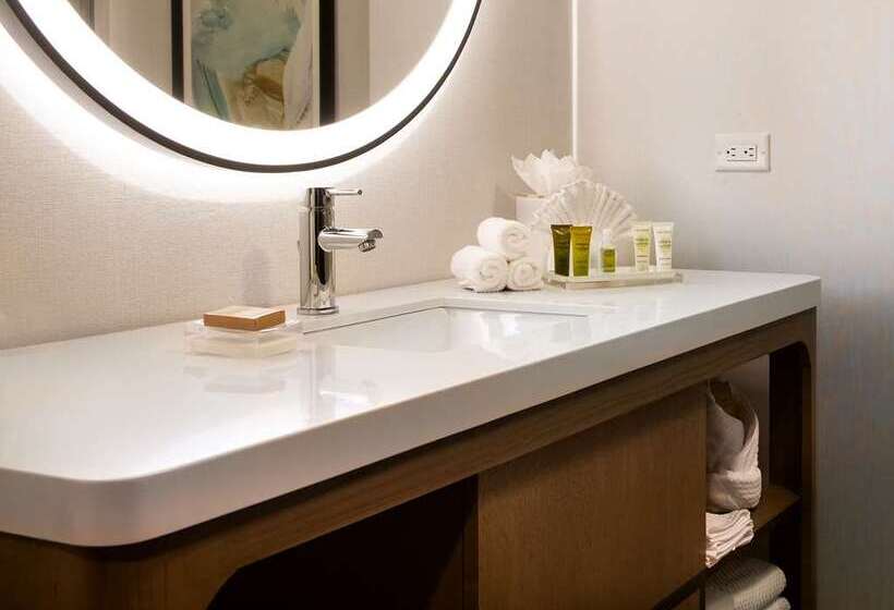 스탠다드 룸 킹사이즈 침대, Hilton Branson Convention Center