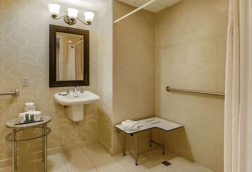 디럭스 룸, Hilton Branson Convention Center