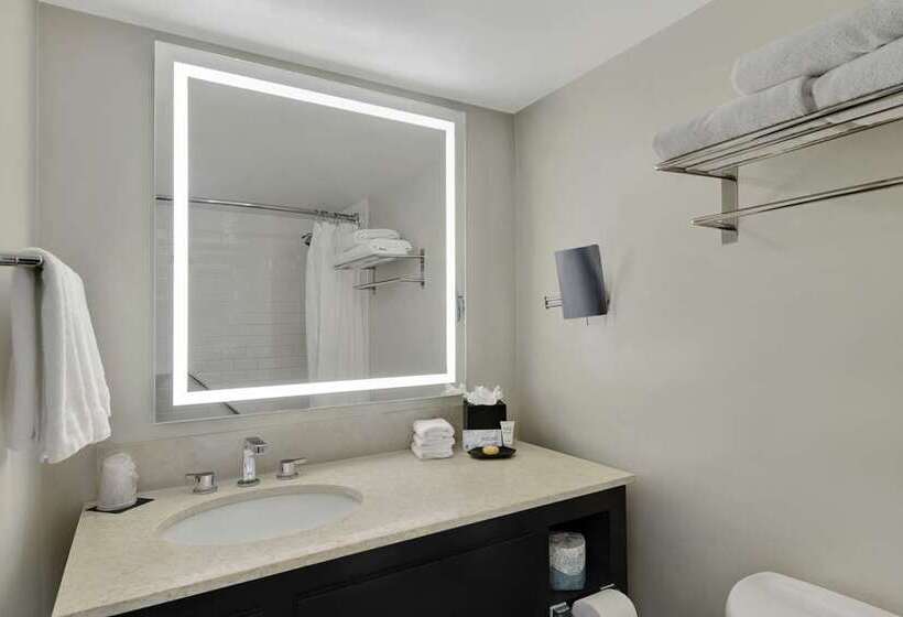 스탠다드 룸 킹사이즈 침대, Hilton Branson Convention Center