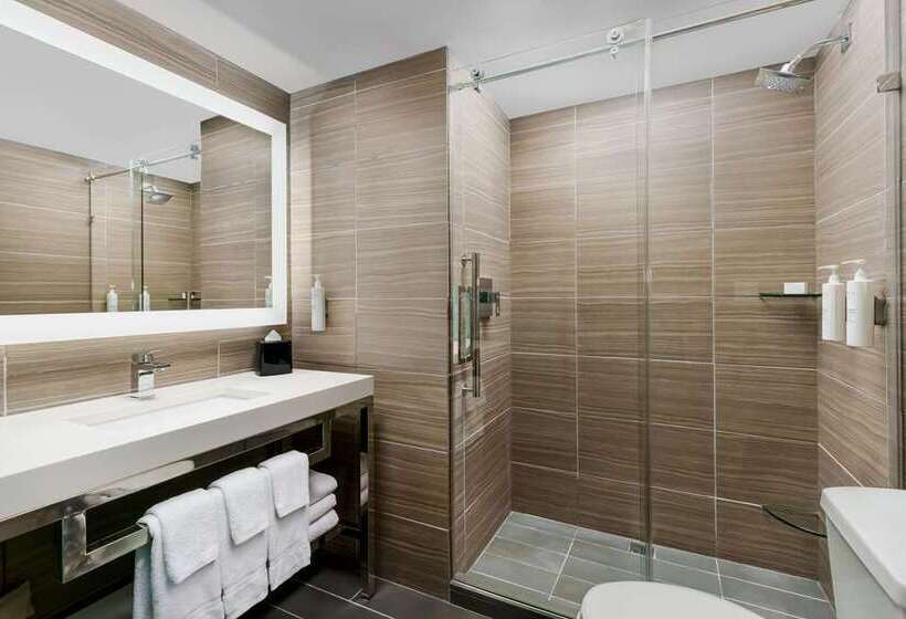 스탠다드 룸 킹사이즈 침대, Hilton Branson Convention Center