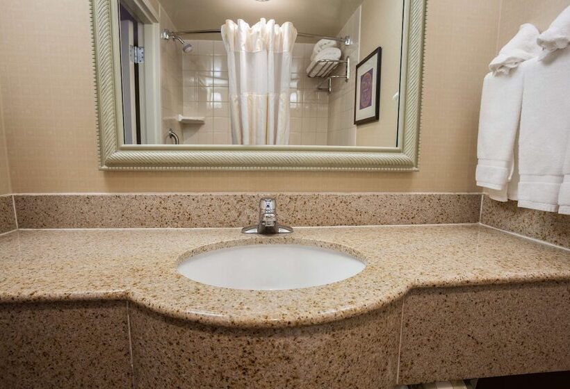 스탠다드 룸, Hilton Garden Inn El Paso / University