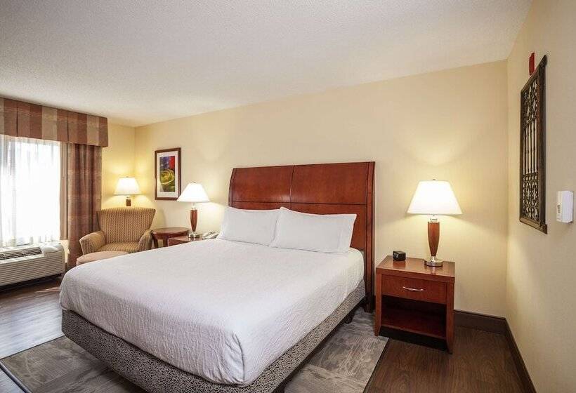 스위트, Hilton Garden Inn El Paso / University