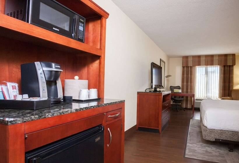 스위트, Hilton Garden Inn El Paso / University