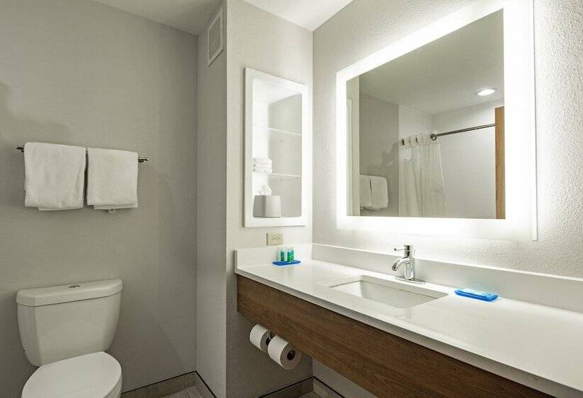 Suite Adaptée aux Personnes à Mobilité Réduite, Holiday Inn Express & Suites Chattanooga   East Ridge, An Ihg