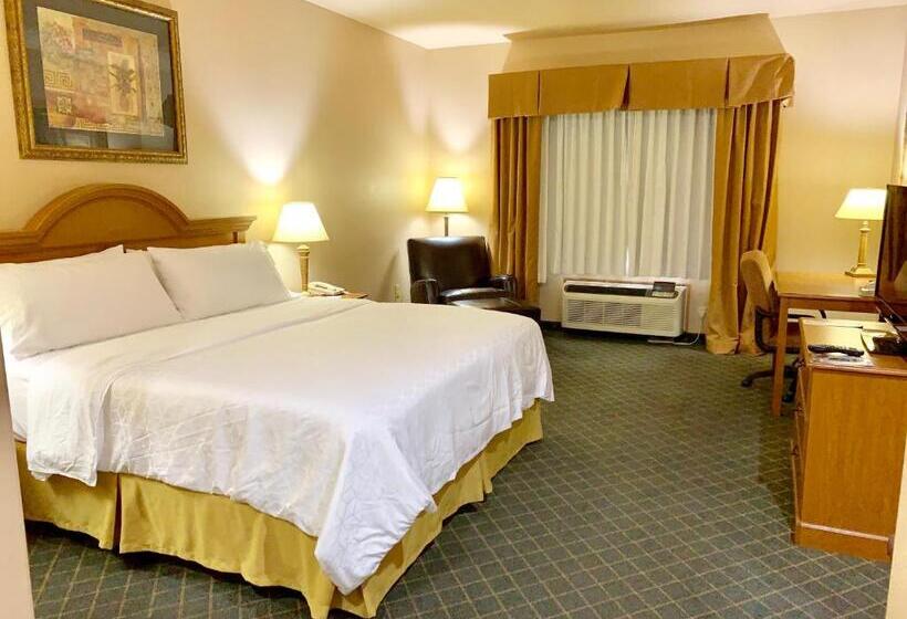 Standard Szoba King Size Bed, Holiday Inn Express Hotel And Suites Alice, An Ihg