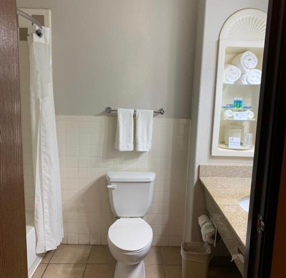Standard Szoba, Holiday Inn Express Hotel And Suites Alice, An Ihg