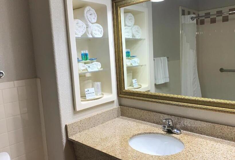 Lakosztály, Holiday Inn Express Hotel And Suites Alice, An Ihg