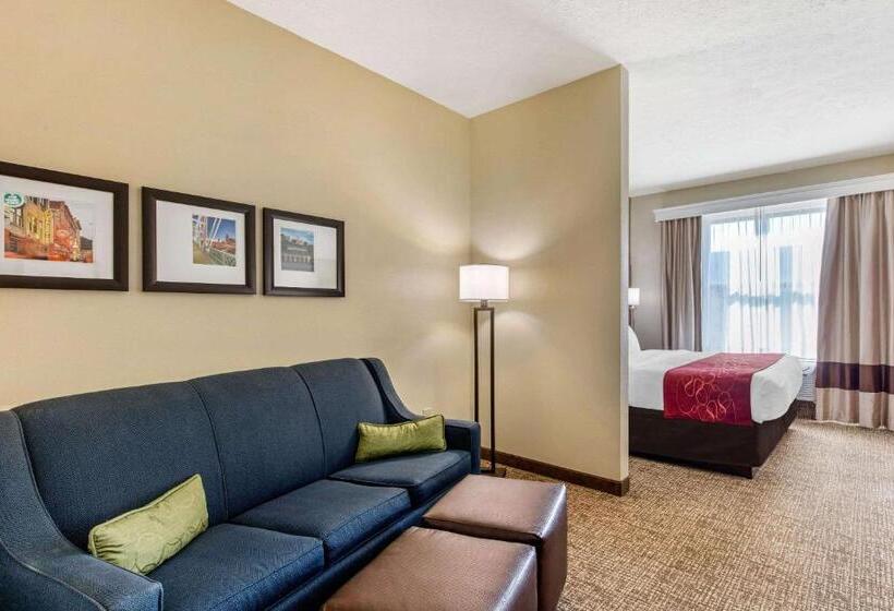 Suite King Size Bed, Comfort Suites