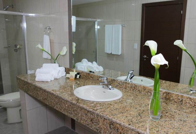디럭스 룸, Victoria Hotel And Suites Panama