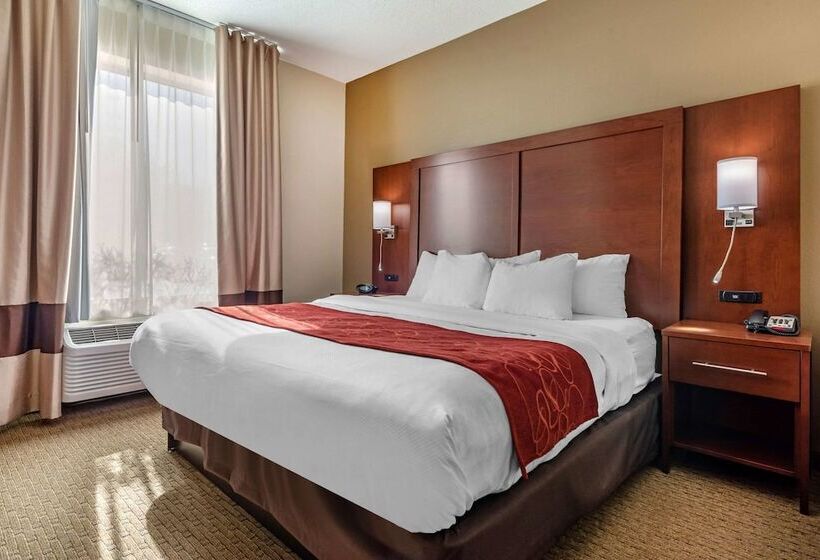 Люкс Адаптированный для Инвалидов, Comfort Suites Cincinnati Airport