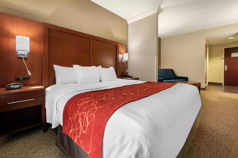 Люкс Кровать Кинг, Comfort Suites Cincinnati Airport