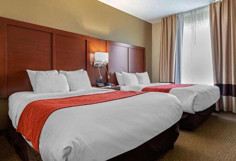 Люкс, Comfort Suites Cincinnati Airport