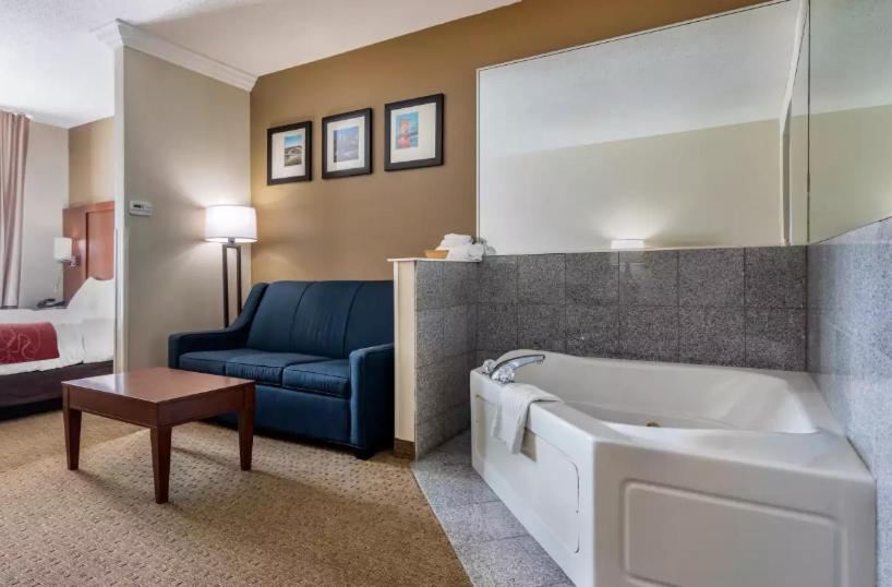 Люкс Кровать Кинг, Comfort Suites Cincinnati Airport