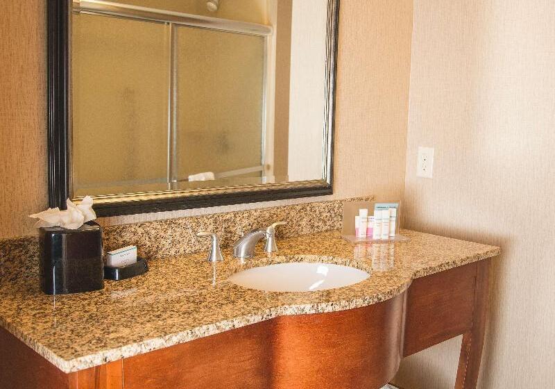 Стандартный Номер Кровать Кинг, Hampton Inn & Suites Greeley