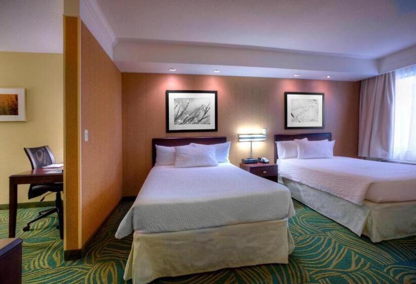 标准工作室, Springhill Suites By Marriott   Tampa Brandon