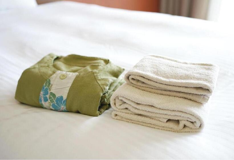 Номер Deluxe с Видом, Em Wellness Kurashino Hakko Lifestyle Resort