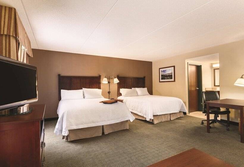 スタンダードスタジオ, Hampton Inn & Suites Lake George