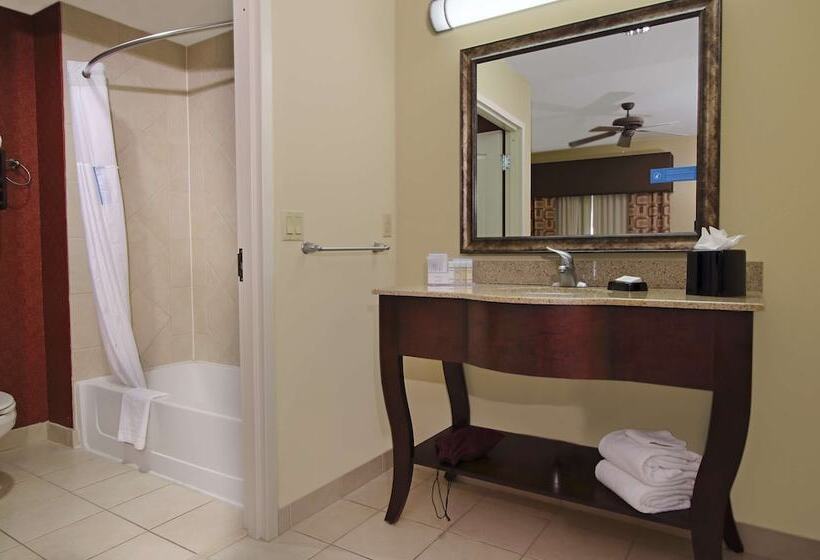 Студио Стандарт Кровать Кинг, Hampton Inn & Suites Conroe  I45 North