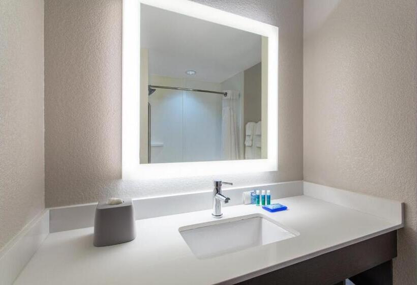 스탠다드 룸 킹사이즈 침대, Holiday Inn Express Silver Springs   Ocala, An Ihg