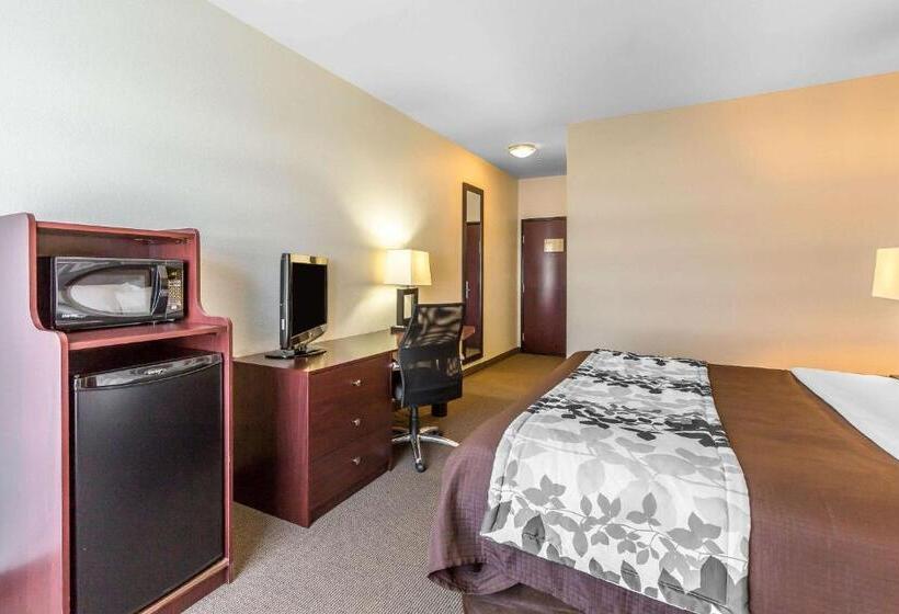 キングサイズベッドのスイートルーム, Sleep Inn & Suites Bush Intercontinental  Iah East