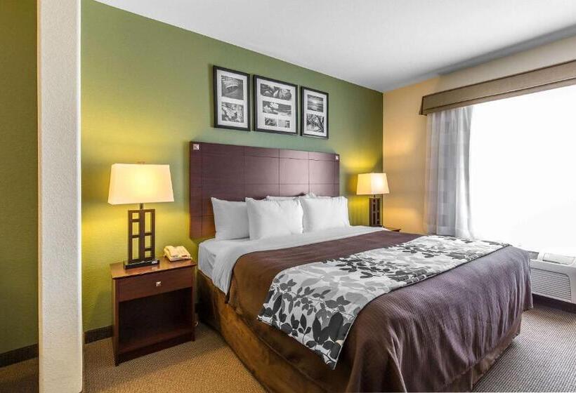 キングサイズベッドのスイートルーム, Sleep Inn & Suites Bush Intercontinental  Iah East