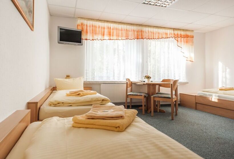 Номер Стандарт, Sportpension Dresden