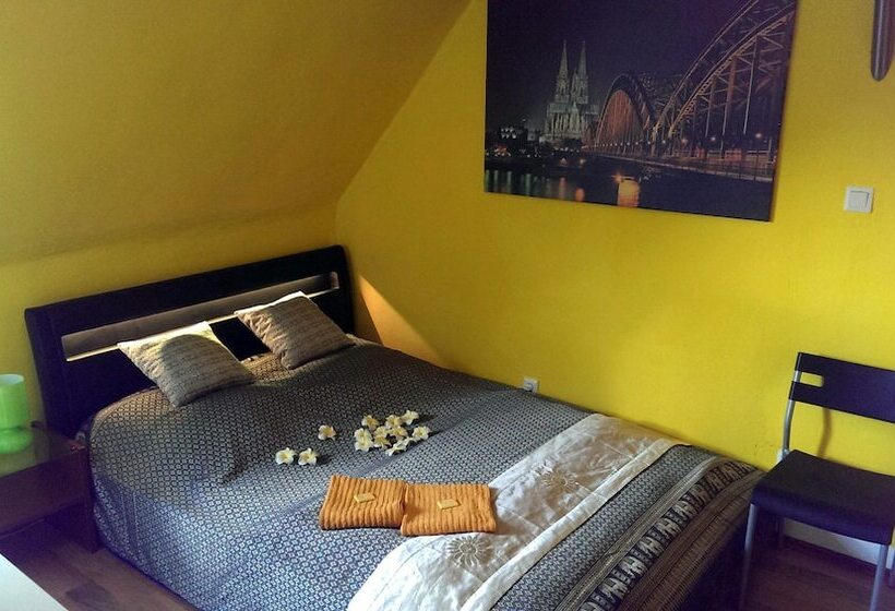اتاق اکونومی, Stayincologne