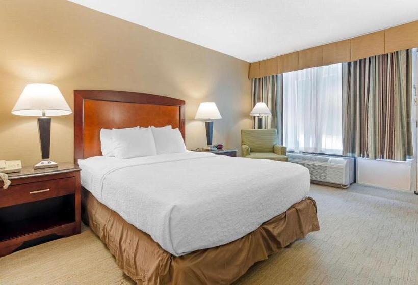 Номер Стандарт Адаптированный для Инвалидов, Best Western Lexington Inn