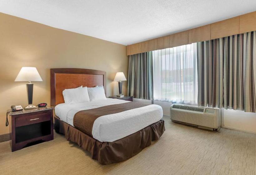 Номер Стандарт Кровать Кинг Адаптированный для Инвалидов, Best Western Lexington Inn
